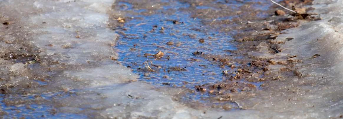 Eine Pfütze, die sich durch die Schneeschmelze in der Einfahrt bildet